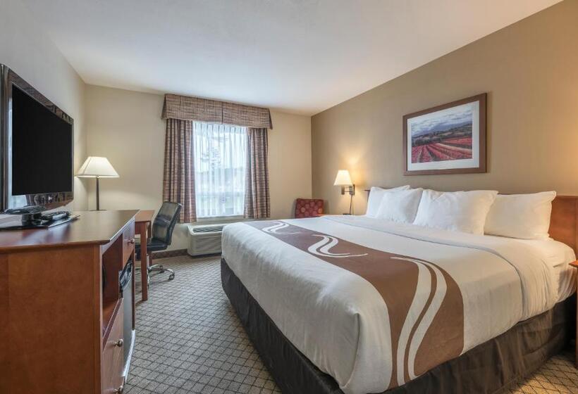 带大床的标准间, Quality Inn Airport