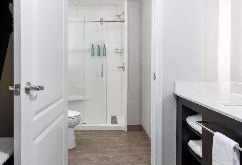 إستوديو قياسى سرير كينج, Residence Inn By Marriott Corona Riverside