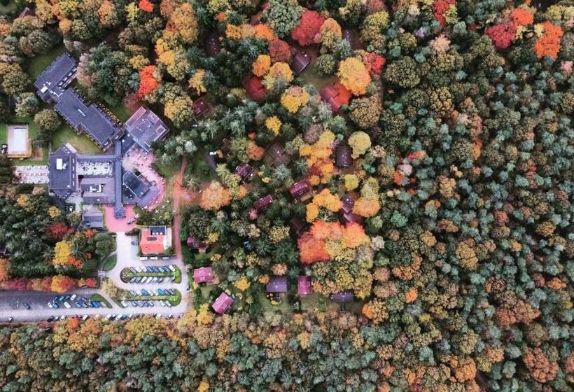 חדר סטנדרט לשלושה, De Werelt Garderen