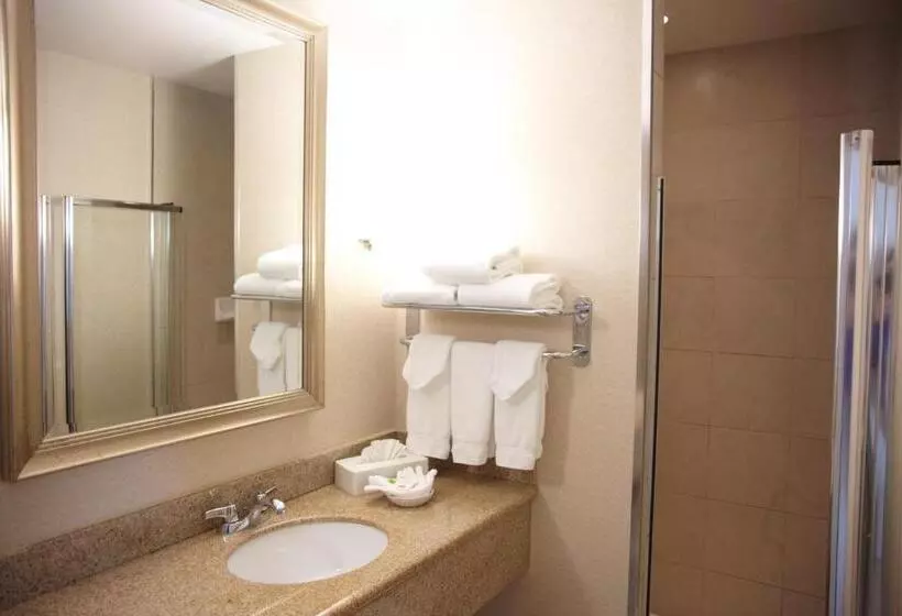 اتاق استاندارد با تخت بزرگ, Admiral Inn Mississauga