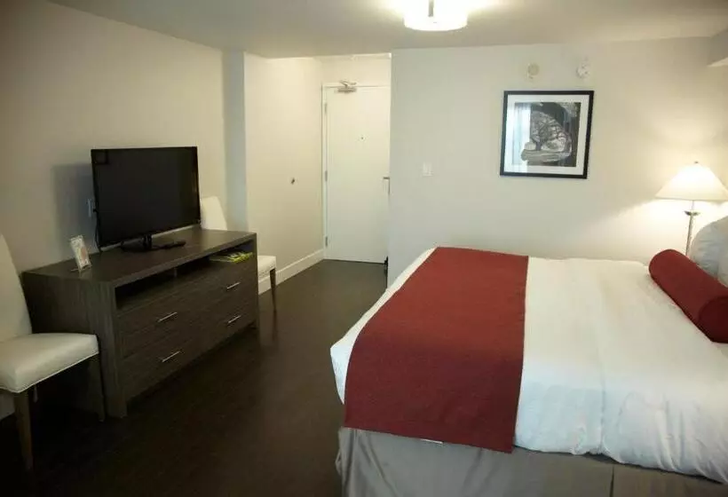 اتاق استاندارد با تخت بزرگ, Admiral Inn Mississauga