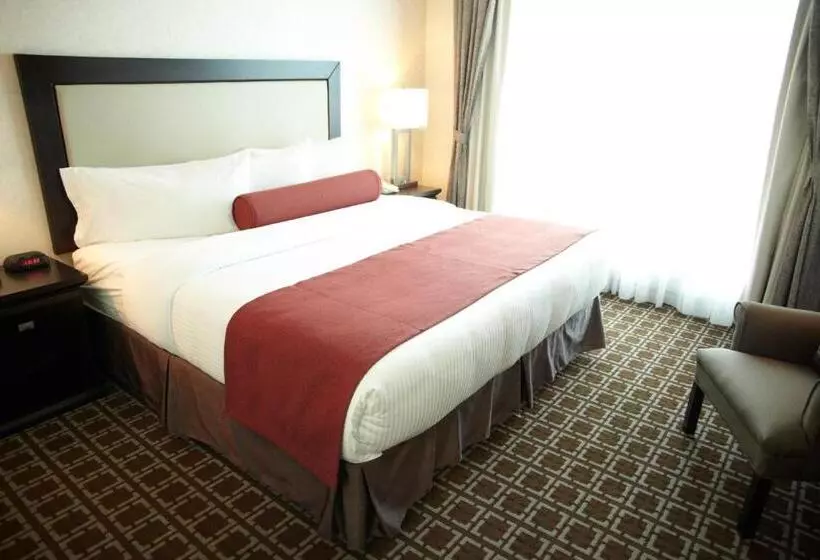 اتاق استاندارد با تخت بزرگ, Admiral Inn Mississauga
