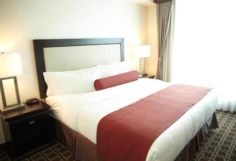 스탠다드 룸 킹사이즈 침대, Admiral Inn Mississauga