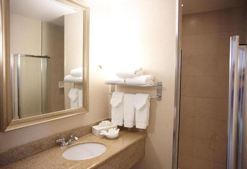 Номер Стандарт, Admiral Inn Mississauga