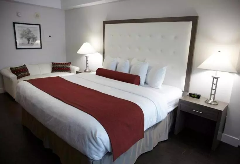 استودیو استاندارد با تخت کینگ, Admiral Inn Mississauga
