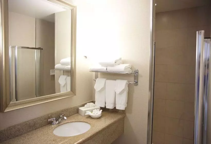 اتاق استاندارد, Admiral Inn Mississauga