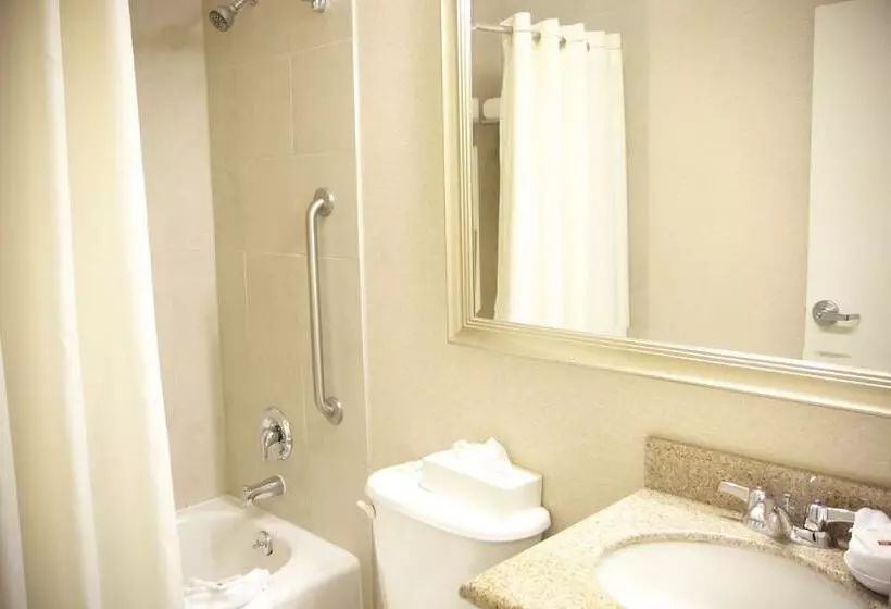 اتاق استاندارد, Admiral Inn Mississauga