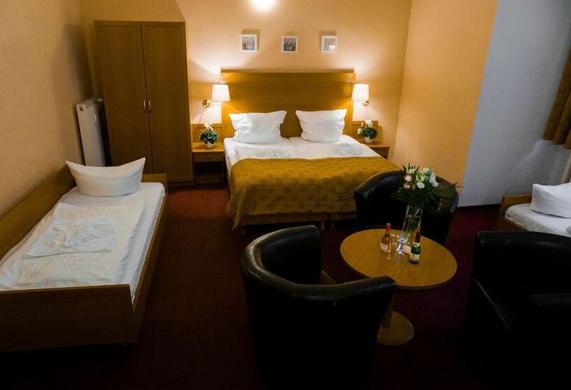 اتاق استاندارد سه نفره, Aster An Der Messe