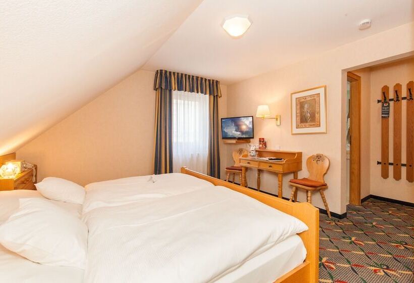 이코노미 룸, Landgasthof Hotel Hirsch