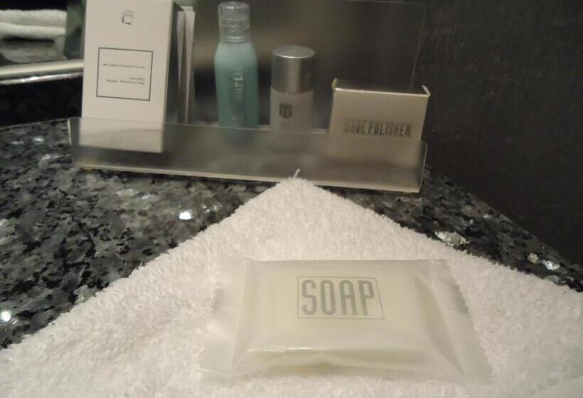 Standard Yhden Hengen Huone, Msr Hotel Hannover