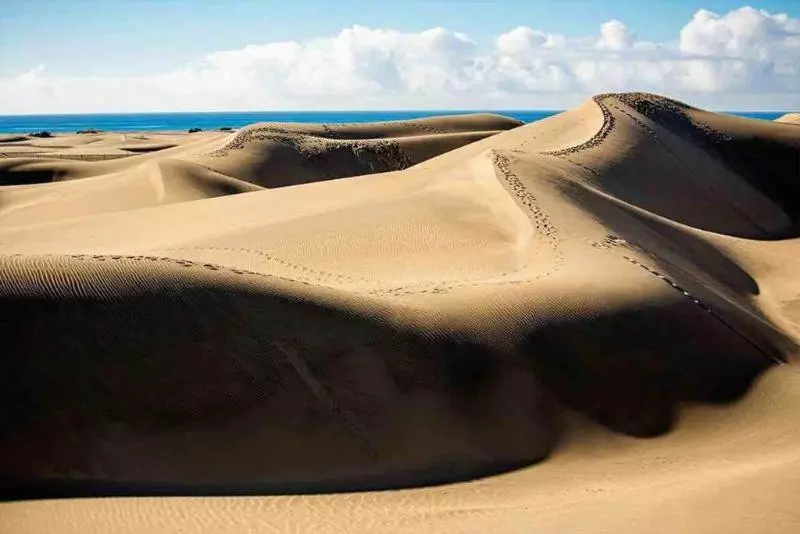 اتاق استاندارد, Bungalows Maspalomas Oasis Club - All Inclusive