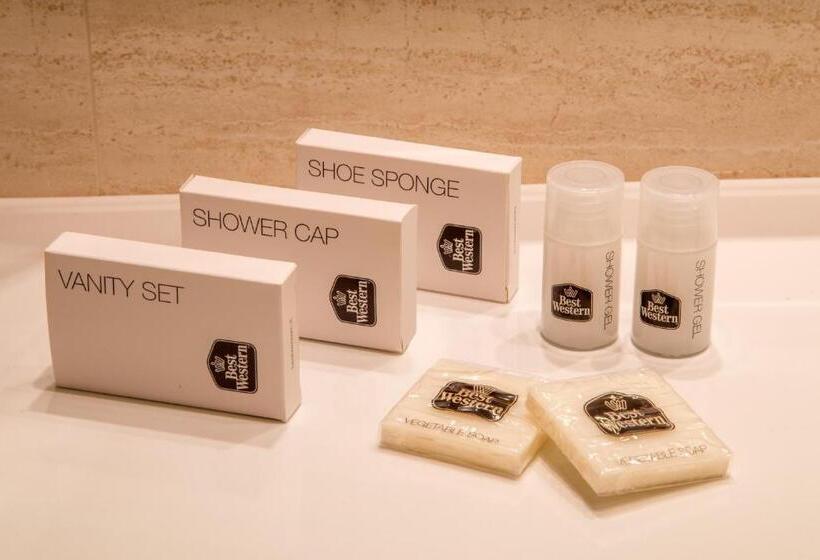 اتاق سوپریور با تخت بزرگ, Best Western Hotel Viterbo