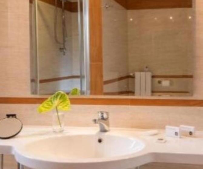 اتاق استاندارد با تخت بزرگ, Best Western Hotel Viterbo