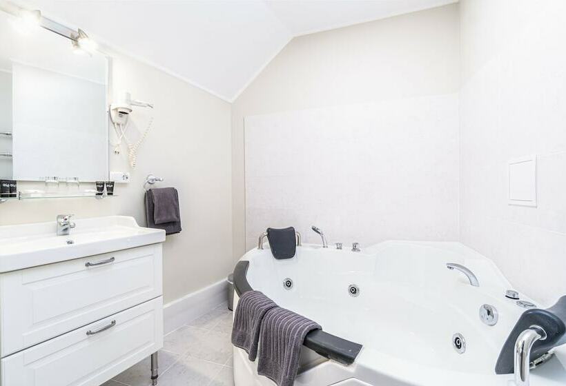 اتاق سوپریور, Forums Boutique