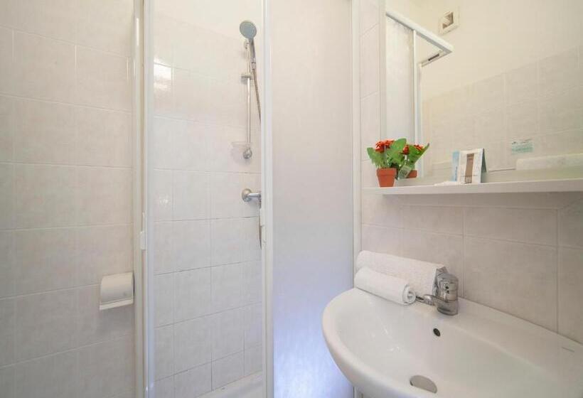 اتاق سوپریور, Gemini