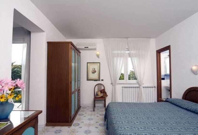 スタンダードシングルルーム, Gemma