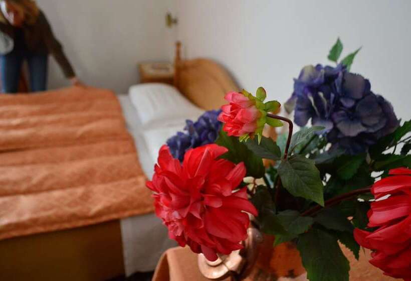 高级单人间, Montana