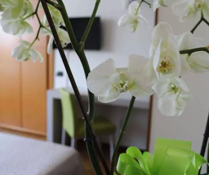 اتاق استاندارد, Residence Holiday