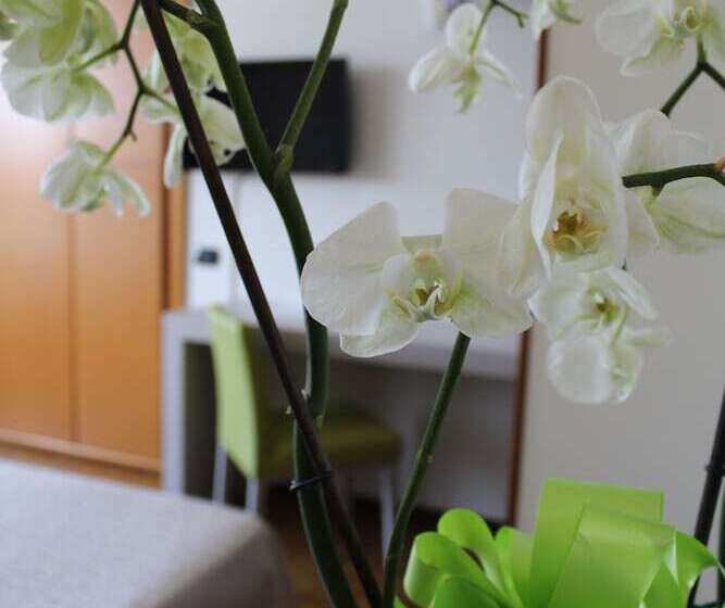 Номер Стандарт Трехместный, Residence Holiday