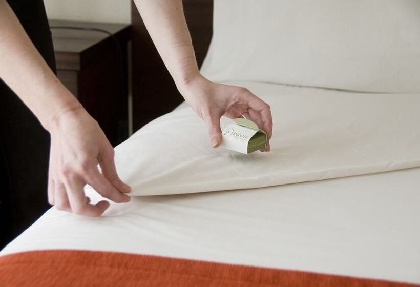 ジュニアスイート, Xelena Hotel & Suites