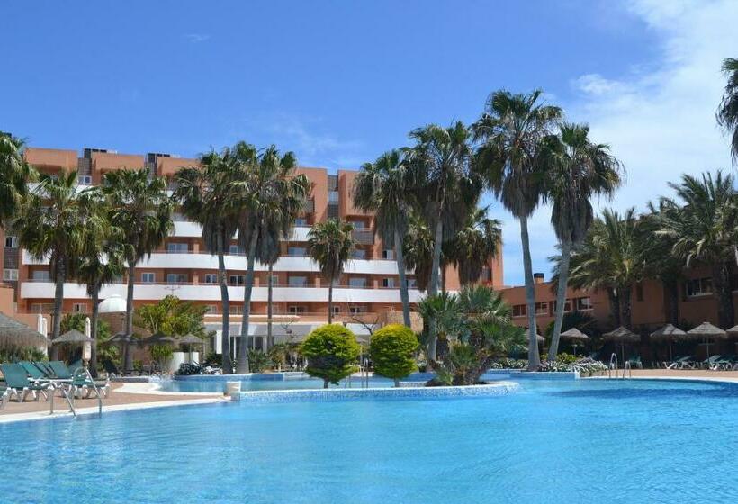 スタンダードスタジオ, Arena Center