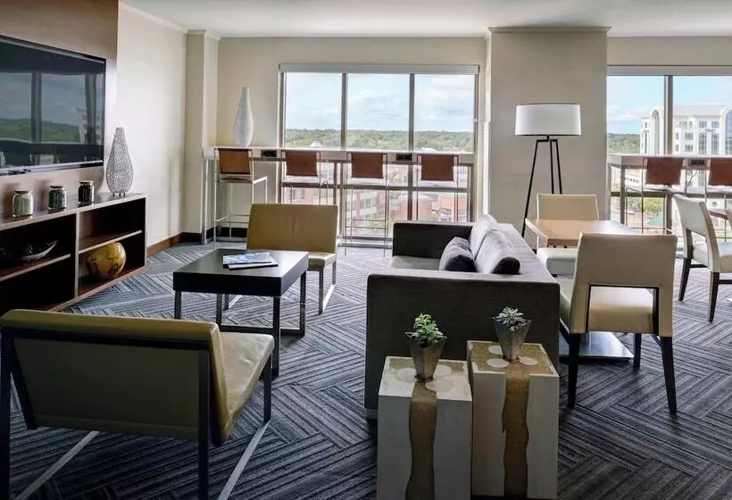 اتاق استاندارد با 2 تخت دوبل, Newport News Marriott At City Center