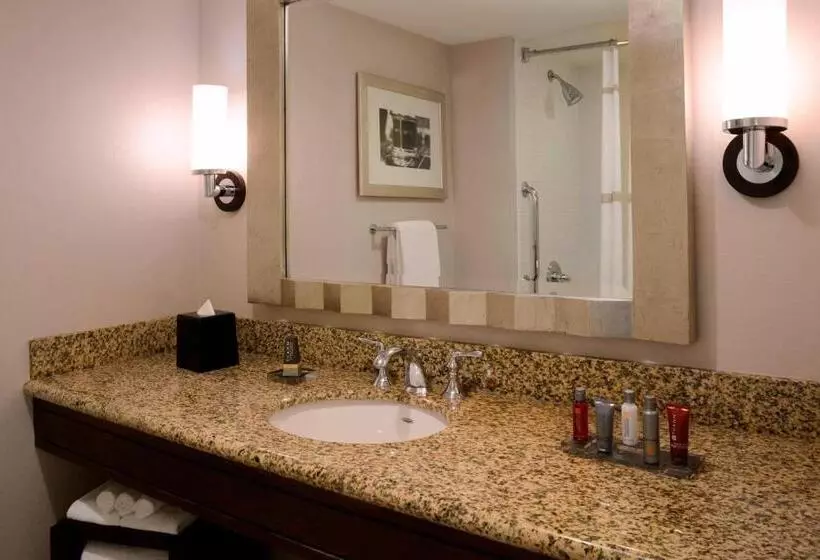 اتاق دلوکس مخصوص معلولین, Newport News Marriott At City Center