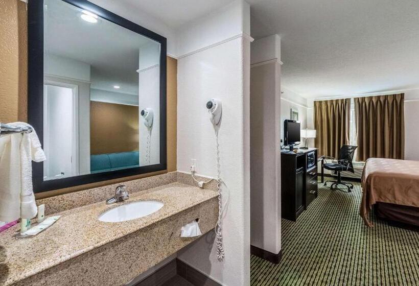 스탠다드 룸 킹사이즈 침대, Quality Inn & Suites Seaworld North