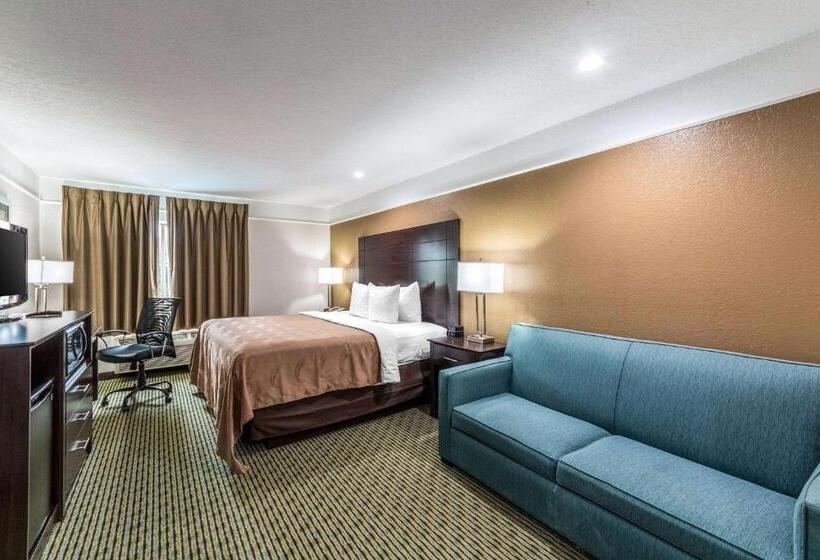 Habitació Estàndard Llit King, Quality Inn & Suites Seaworld North