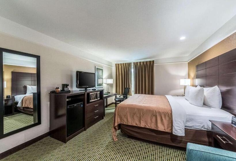 스탠다드 룸 킹사이즈 침대, Quality Inn & Suites Seaworld North