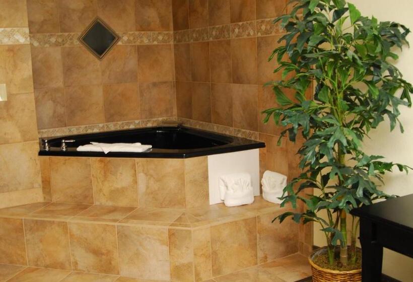 Люкс Executive Кровать Кинг, Ramada By Wyndham Bettendorf