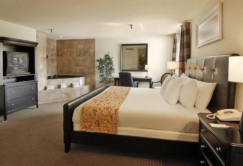 سوئیت اجرایی با تخت کینگ, Ramada By Wyndham Bettendorf