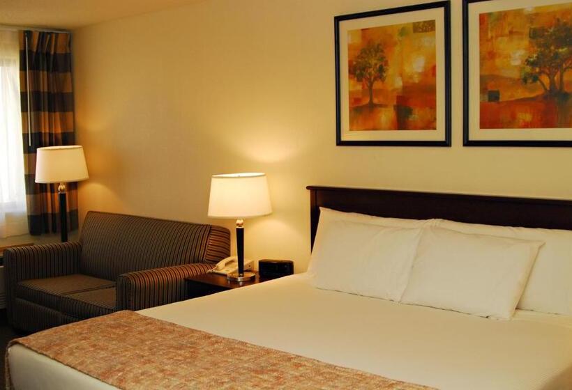 اتاق استاندارد با تخت بزرگ, Ramada By Wyndham Bettendorf