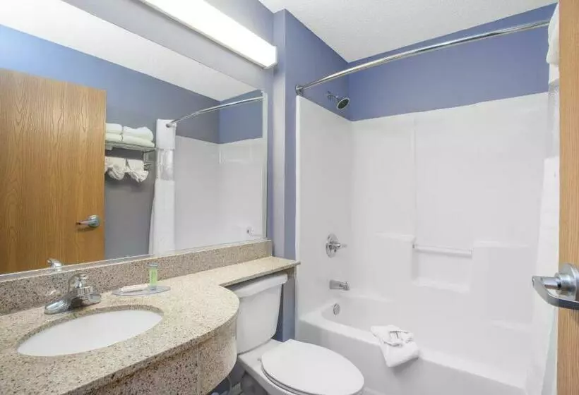 デラックススイート, Microtel Inn And Suites Dover