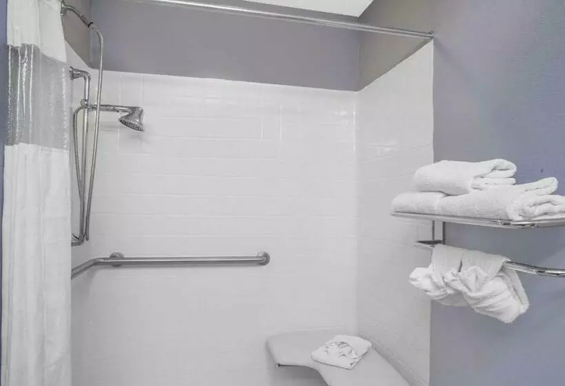 身障者適用スタンダードルーム, Microtel Inn And Suites Dover