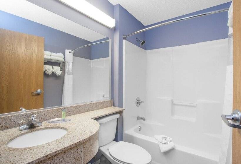 Люкс, Microtel Inn And Suites Dover