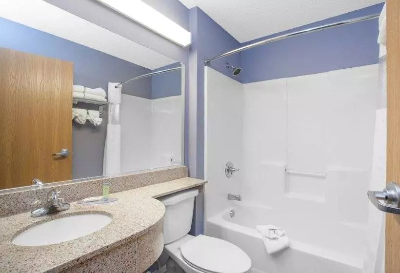 スイート, Microtel Inn And Suites Dover