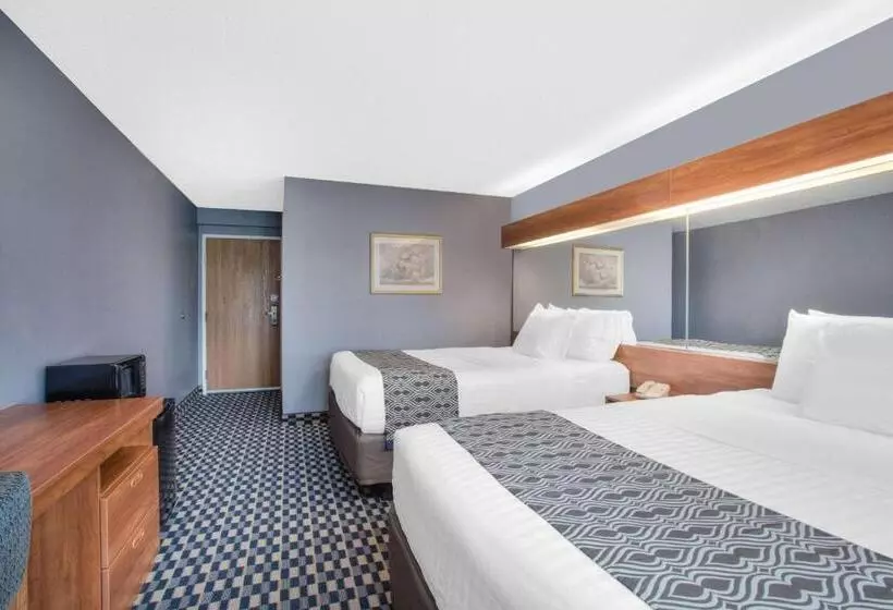 身障者適用スタンダードルーム, Microtel Inn And Suites Dover