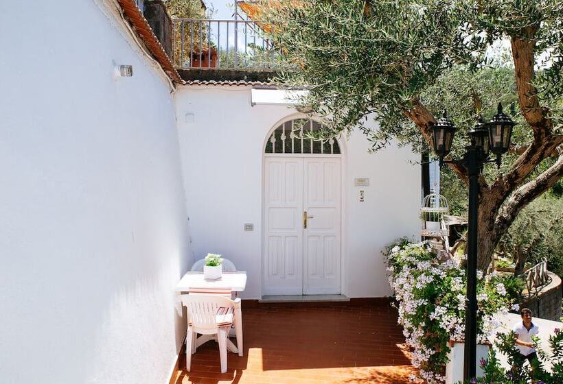 家庭工作室, Villa Carolina Country House