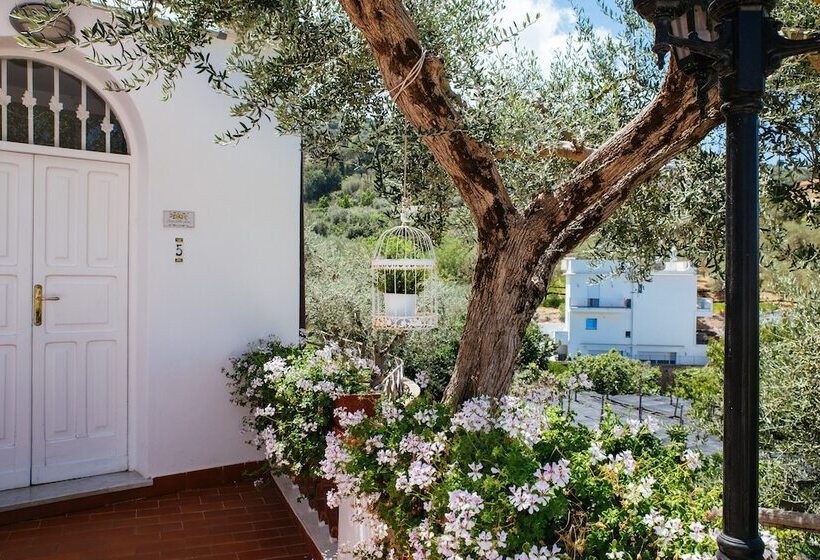 家庭工作室, Villa Carolina Country House