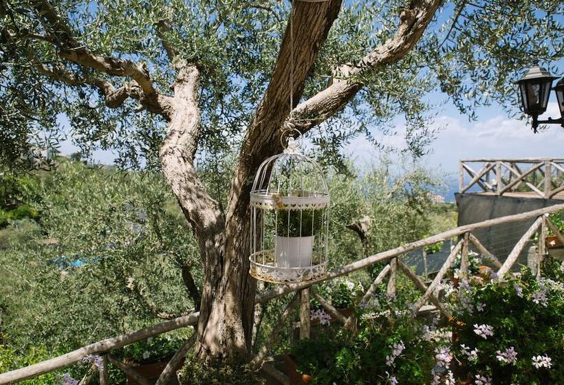 家庭工作室, Villa Carolina Country House