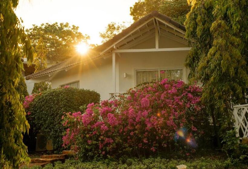 اتاق استاندارد با تراس, Fleur De Lys Resort & Spa Long Hai