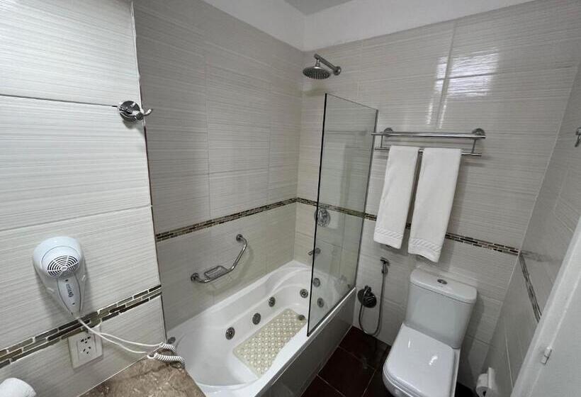 스탠다드 자쿠지 룸, Punta Del Este Shelton