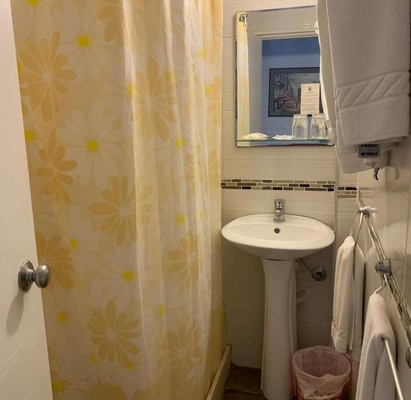 스탠다드 룸, Punta Del Este Shelton