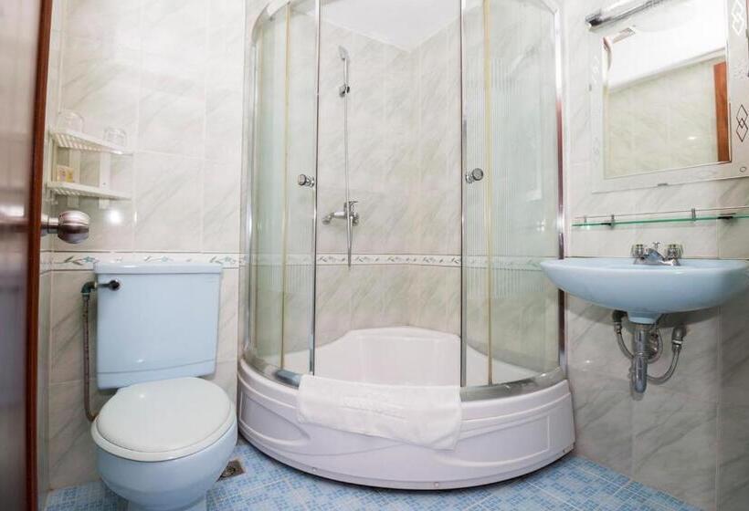 اتاق سوپریور با چشم‌انداز شهر, Rex Hotel Vung Tau