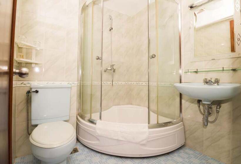 اتاق سوپریور با چشمانداز دریا, Rex Hotel Vung Tau