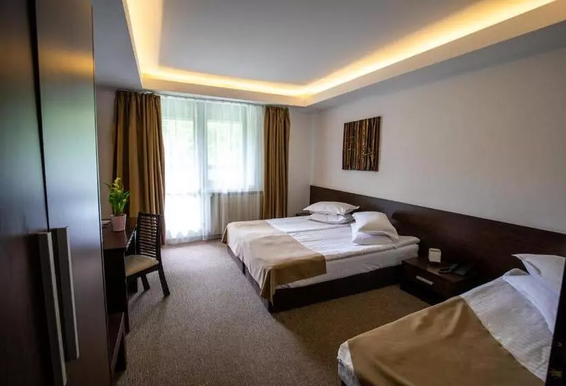 Standard Kolmen Hengen Huone, Smart