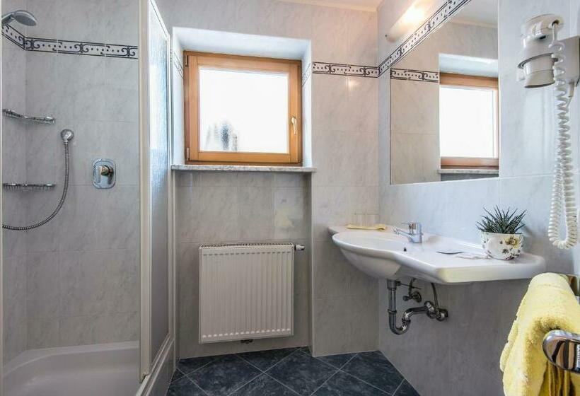 スタンダードルーム, Ciasa Roch