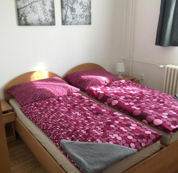 Студия Стандарт, Penzion Janovice