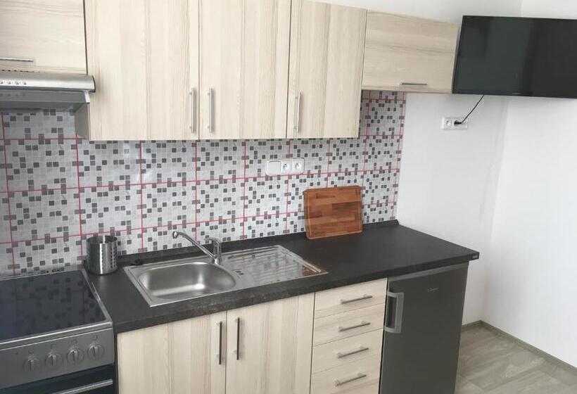 Студия Стандарт, Penzion Janovice